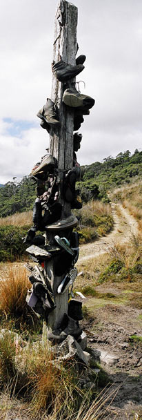 Heaphy Track Boot Pole